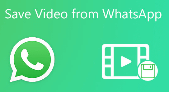 (4 способа) Как сохранить видео WhatsApp на компьютер